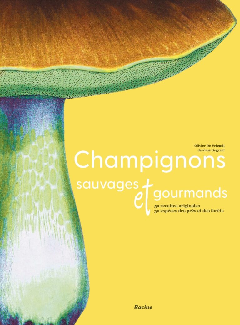 Champignons sauvages et gourmands